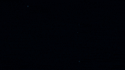 Water Swimming GIF by Giant Squid