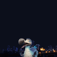 New Year Fireworks GIF by Dodo Australia