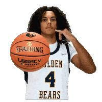 Basketball Sticker by WVU Tech Golden Bears
