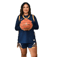 Womens Basketball Sticker by WVU Tech Golden Bears