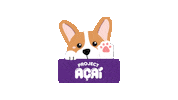 Dog Party Sticker by Project Acai