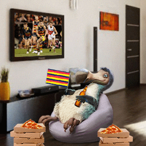 GIF by Dodo Australia