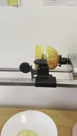 lilyalig giphyupload GIF