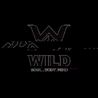 wildgymstudio workout gym crossfit body GIF