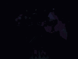 tales from the crypt GIF