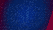 Germany Yes GIF by Holstein Kiel