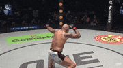 ONEChampionship happy dance cool win GIF