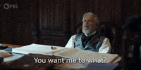 Season 3 What GIF by PBS
