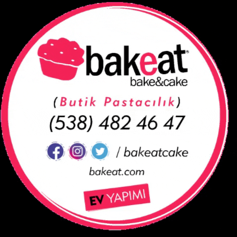 bakeatcake giphygifmaker cake cakeart sugart GIF