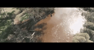 water jump GIF by nettwerkmusic