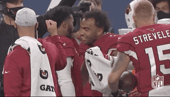 Regular Season Hug GIF by NFL