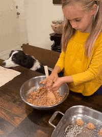 GingerBiscuits  GIF