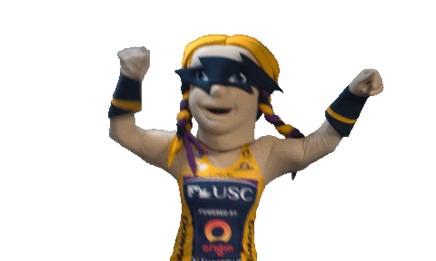Netball Sclightning Sticker by Sunshine Coast Lightning