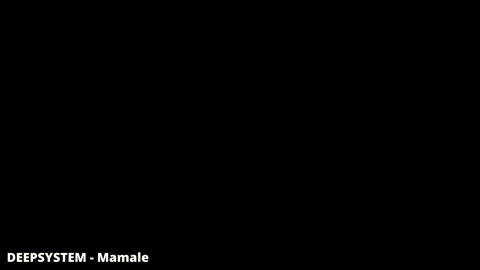 Beach Boy Summer GIF by DEEPSYSTEM