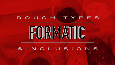 erikarecord giphygifmaker cookiemachine bakeryequipment cookieproduction GIF