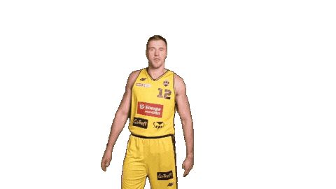 Celebration Basketball Sticker by Trefl Sopot