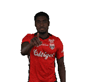 Ligue 2 Football Sticker by EA Guingamp