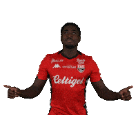 Ligue 2 Football Sticker by EA Guingamp