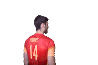 Volleyball Mikiforju Sticker by RedLynxes