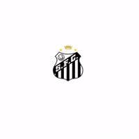 Seria A Santos Fc GIF