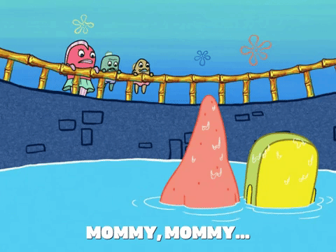 season 6 GIF by SpongeBob SquarePants