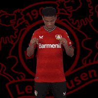 Arrow Click Here GIF by Bayer 04 Leverkusen