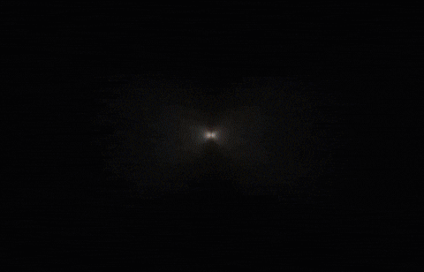 Meowl GIF