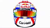 Ver Red Bull GIF by Oracle Red Bull Racing