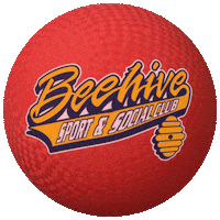 Soccer Softball Sticker by Beehive Sports