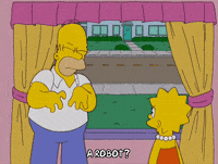 homer simpson GIF