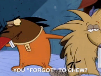 nickrewind nicksplat angry beavers GIF