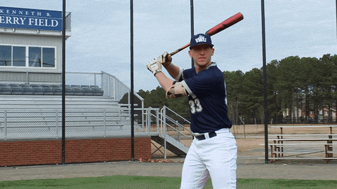 vwu_marlins giphyupload marlins vwu wethebeach GIF