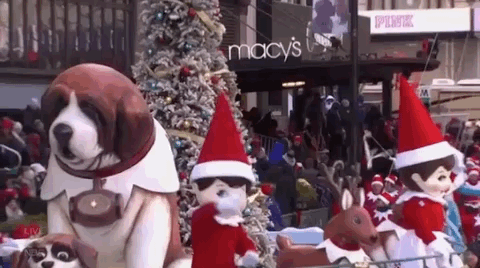 Macys Parade GIF by The 96th Macy’s Thanksgiving Day Parade