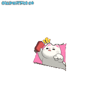 Angry Cats Sticker by Silly Kitties