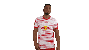 No Problem Football Sticker by RB Leipzig