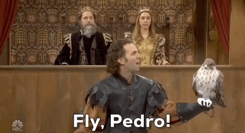 Medieval Times Snl GIF by Saturday Night Live