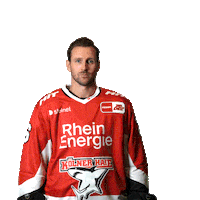 Goal Celebrate Sticker by Koelner Haie