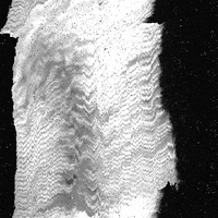 glitch GIF by Liaizon Wakest