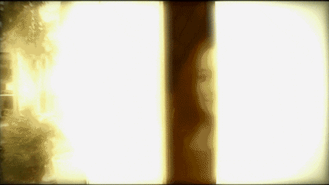 neighbor GIF by The Maury Show