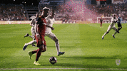 rslmarketing soccer futbol major league soccer rsl GIF