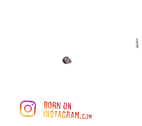 Pammyboi Sticker by BORN ON INSTAGRAM