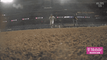 Gleyber Torres Slide GIF by Jomboy Media
