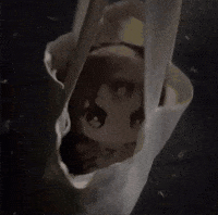 College ぬいぐるみ GIF