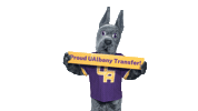 Great Dane Damien Sticker by UAlbany