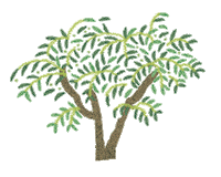 Art Tree Sticker by woljeon