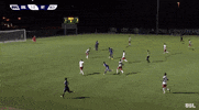 GIF by Orlando City SC
