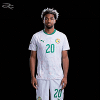 Fifa World Cup Caf GIF by Respective
