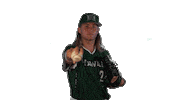 College Baseball Sticker by Hawaii Athletics