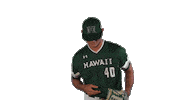 College Baseball Sticker by Hawaii Athletics