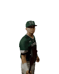 College Baseball Sticker by Hawaii Athletics